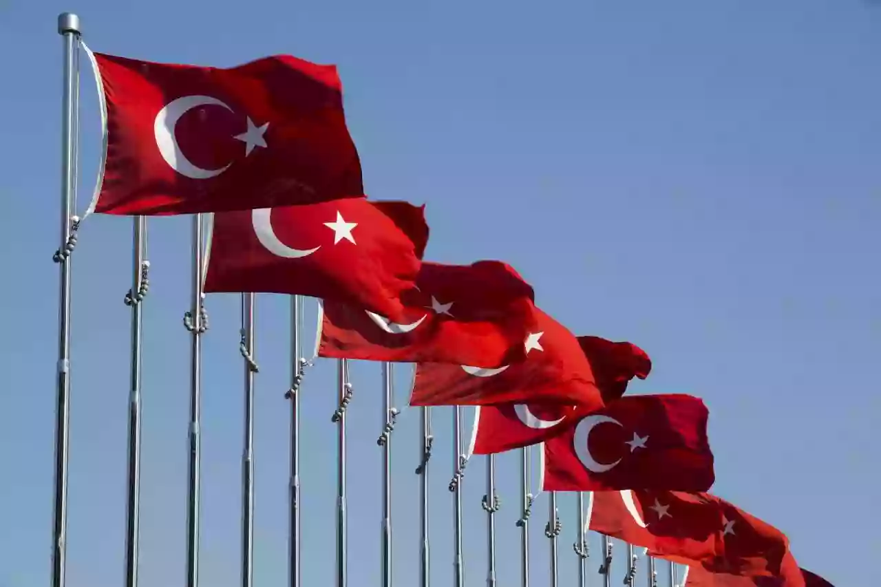 Türk Bayrağı Çeşitleri